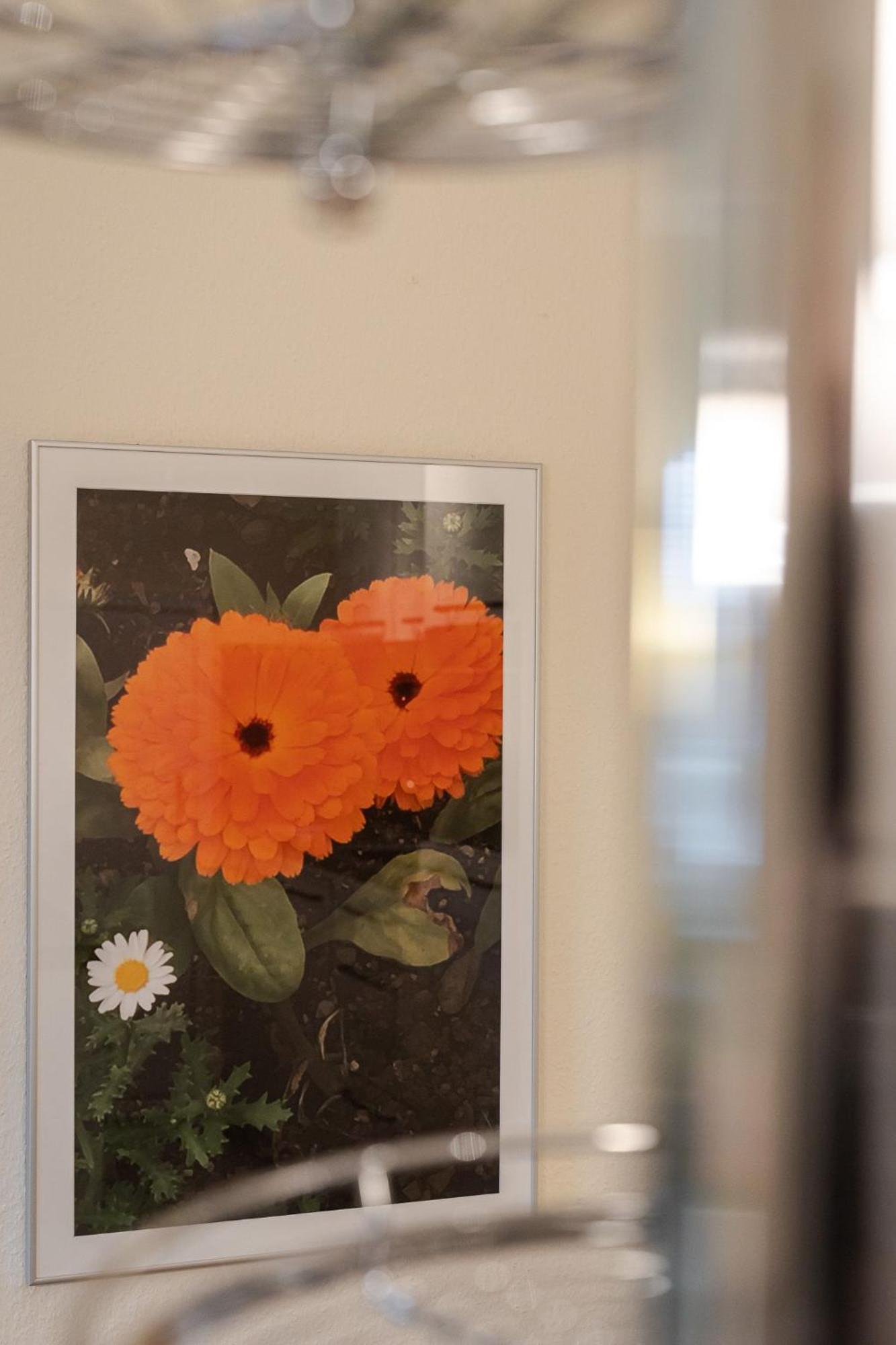 Fewo Ringelblume List Eksteriør billede